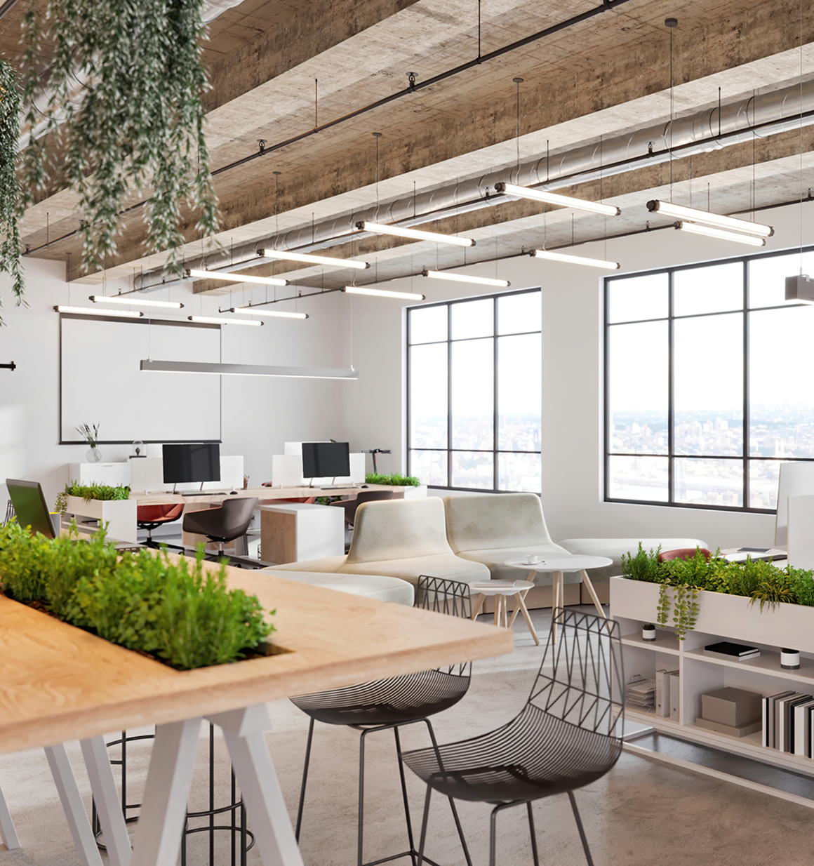 Modern office with plants and natural light.