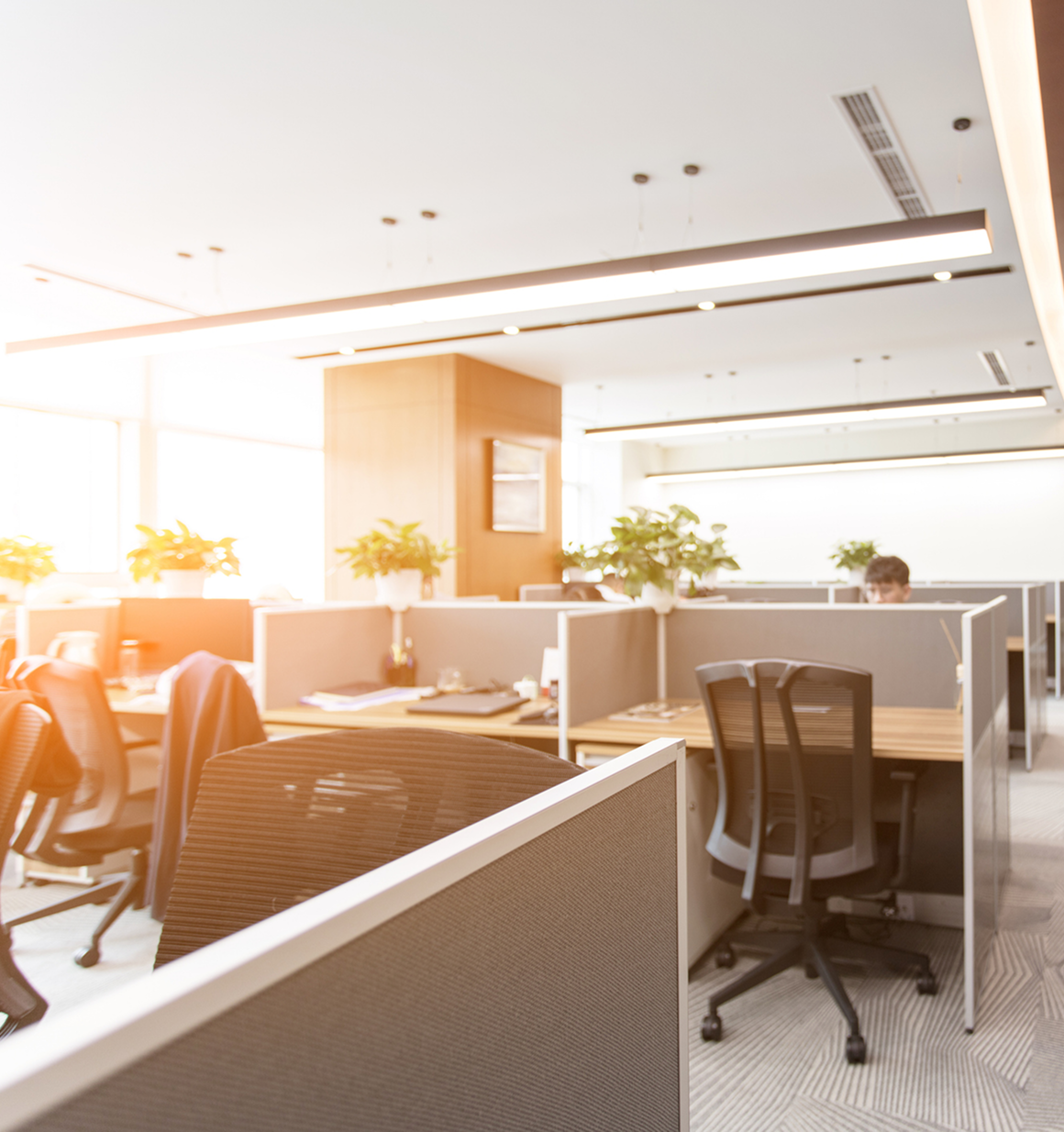 Modern office cubicles with natural light