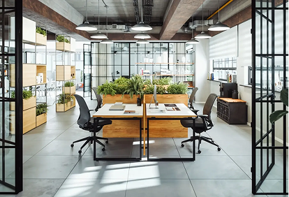 Modern office with greenery and open layout